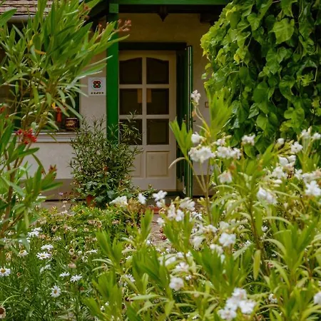 Guest house Piroska Vendeghaz *