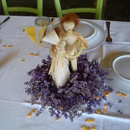 Piroska Vendeghaz Гостевой дом