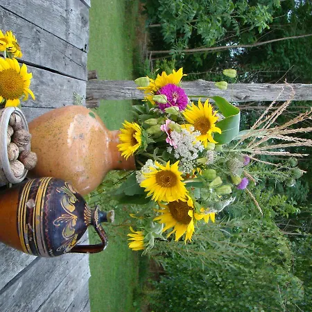 Piroska Vendeghaz Гостевой дом *