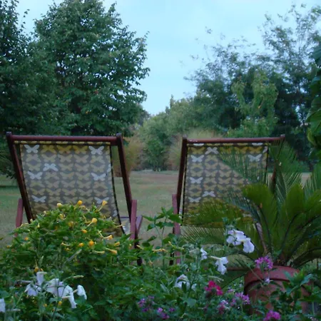 Piroska Vendeghaz * Szekkutas